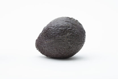Aguacate scaled