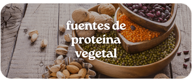 Proteína Vegetal ¿cuáles Son Las Mejores Fuentes Agrari 3219