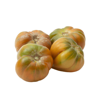 Tomate Valenciano 500 gr 2 ud
