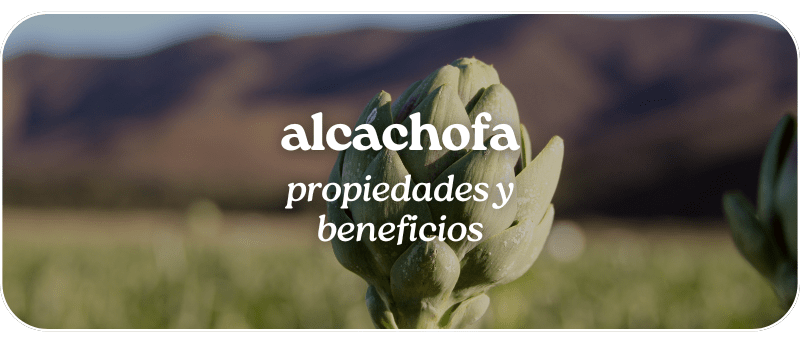 Alcachofa: propiedades y beneficios