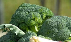 Brócoli propiedades y beneficios