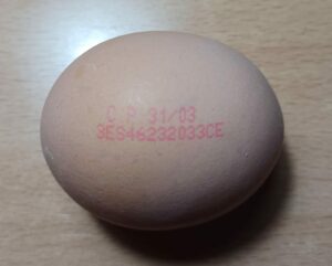 Ejemplo código de los huevos