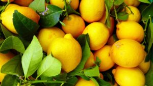 Limón producto valenciano
