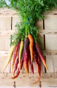 Zanahoria colores 5 raíces comestibles